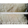 dyed polyester coral fleece fabric