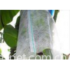 Garden Plant Protection Covers Nonwoven Fabric , Air Permeable Landscape Cloth