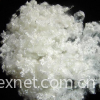 sell hollow conjugated polyester staple fiber 