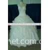 2010 Latest Beautiful Wedding Dress 668346