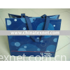 pp woven bag/non woven bag/shopping bag/tote bag