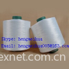 ACY Polyester Covered Spandex Yarn