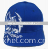Fashion baseball cap with embroidery