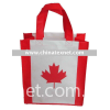 Non woven shopping bag;gift bag;Advertising bag;Eco-friendly bag