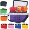 lunch cooler bag/outdoor cooler bag