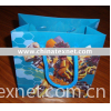 Competitive Shopping Bag China Supplier
