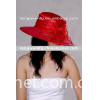 fashion cap(women's hat, promotional cap)
