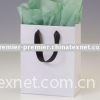 Paper Bag (paper shopping bag,  paper bag,  paper gift bag)