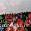 Floral Print Ponte Fabric For Dress 