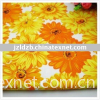 100% polyester textile fabric