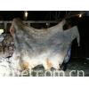 Dry , Wet Salted Animal Hides - Raw animal skins Leather and Animal Extracts/Productions