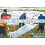 PP non woven fabric for Agriculture