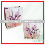 gift paper packaging bag (ENV-PB277)