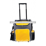 travel ice bag(insulated cooler)