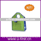 Promotional bag Green eco friendly non woven bag