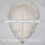 ostrich  feather