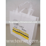 Eco-friendly non woven bag (HYB-087)