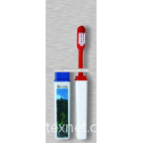 airplane toothbrush