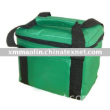 Promotional cooler bags