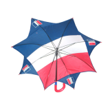 Flag umbrella