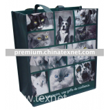SG08-8N016 pp non woven shopping bag with laminated
