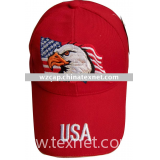 2010 Embroidered American Sports Cap