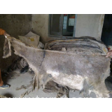 wet salted Donkey hides and skins - Dry salted hides and skins