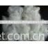 polyester staple fiber(PSF) supplier