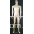 Male Mannequin MM13
