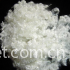 sell hollow conjugated polyester staple fiber 