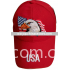 2010 Embroidered American Sports Cap