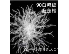 90白鸭绒 点击查看大图