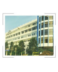 嵊州市伊戈尔领带服装有限公司 