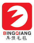 兵强毛毡制片厂