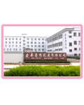 浙江义乌市泰蕾丝花边有限公司
