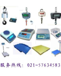 上海权衡电子衡器地磅秤有限公司