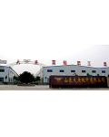 山东大庚土工材料土工格栅有限公司