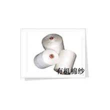 天纶集团-有机棉纱线 