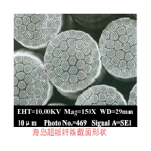 中国石化仪征化纤股份有限公司-海岛型超细纤维