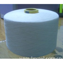 厦门隆盛源进出口有限公司 -CD32S/1棉纱 