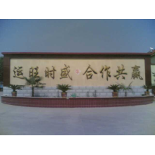高密市盛赢纺织有限公司-气流纺纯棉纱 