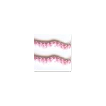 DES-TEXTILE.CO.,LTD.ZHONGSHAN-合股�� 