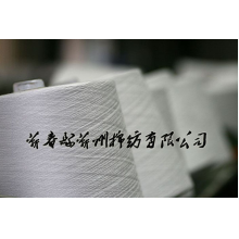 蕲春县蕲州棉纺有限公司-涤纶纱线