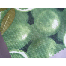 段爱华-平纹涤纶布 箱包布料 印花布料 沙发布  现货