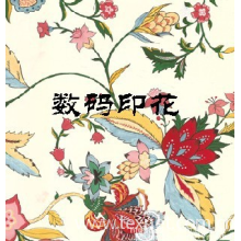 绍兴市黄道婆贸易有限公司-生产涤纶布数码印花面料