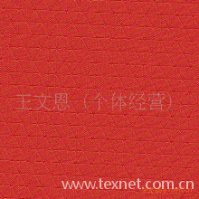 绍兴县福代纺织有限公司-240T尼丝纺米字格