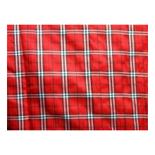 周建（个体经营）-现货供应 全涤朝阳格 色织布服装面料