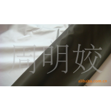 周明姣-尼龙涂银