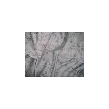 南通开发区鑫富纺织有限公司-大提花布 