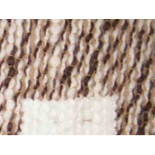 CAIYUAN(SHANGHAI)TEXEILES LTD-大肚纱 